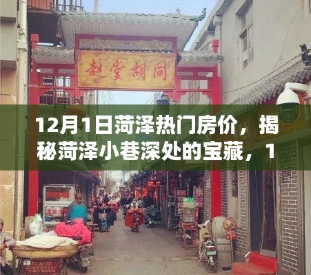 揭秘菏泽小巷宝藏与热门房价揭秘,特色小店独特魅力展露风采
