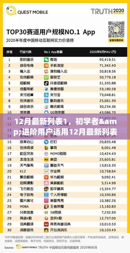 初学者与进阶用户任务完成指南,12月最新列表1技能掌握攻略