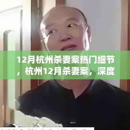 杭州十二月杀妻案深度解析，细节揭秘与个人观点探讨