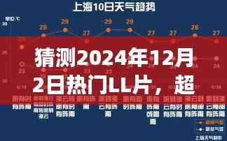 超越未来,追逐热门LL片,励志之旅启程于2024年12月2日