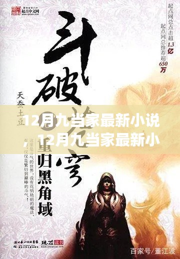 多维度视角下的深度解读，12月九当家最新小说解析