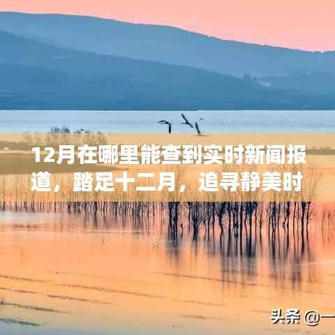 十二月实时新闻报道,与自然对话的旅行艺术,踏足静美时光