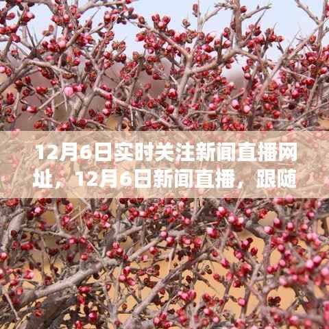 12月6日新闻直播，跟随自然美景的旅行，探寻内心的桃花源实时直播网址