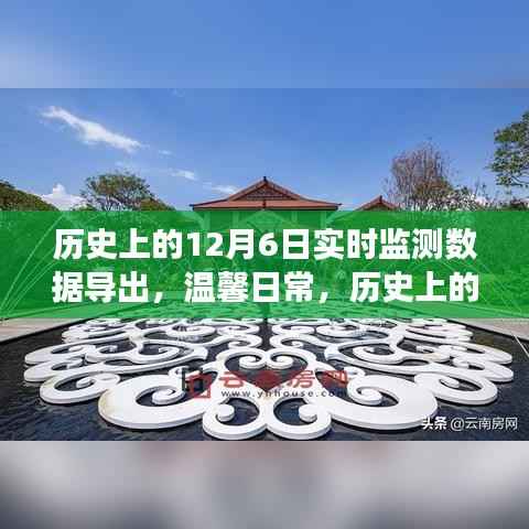 历史上的十二月六日数据之旅,实时监测数据导出与温馨日常回顾