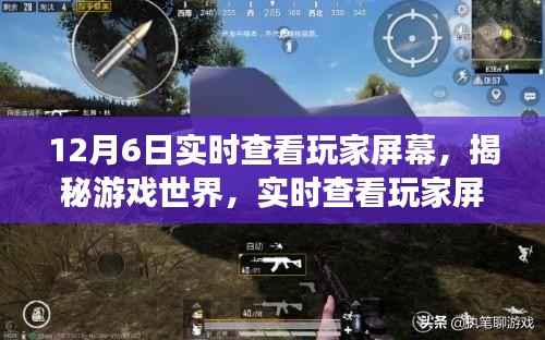 揭秘游戏世界,实时查看玩家屏幕的技术探索与影响分析——以12月6日观察节点为例