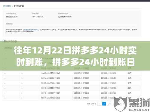 拼多多24小时到账日，温馨的购物狂欢盛宴
