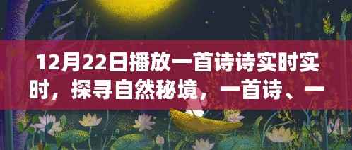 12月22日启程,诗意探寻自然秘境的宁静之旅