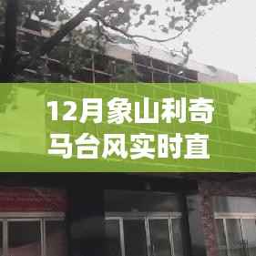 利奇马台风侵袭象山,实时直播记录与深度解析风暴之旅