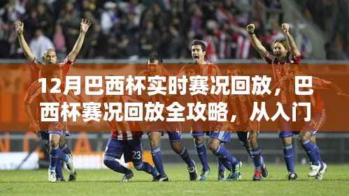 巴西杯赛况回放全攻略，从入门到精通的观看指南，12月实时赛况回顾