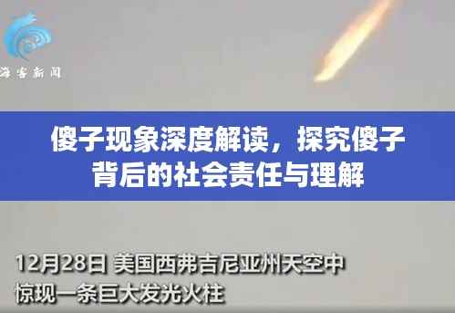 傻子现象深度解读,探究傻子背后的社会责任与理解