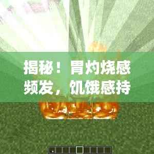 揭秘!胃灼烧感频发,饥饿感持续,原因何在?如何科学应对?