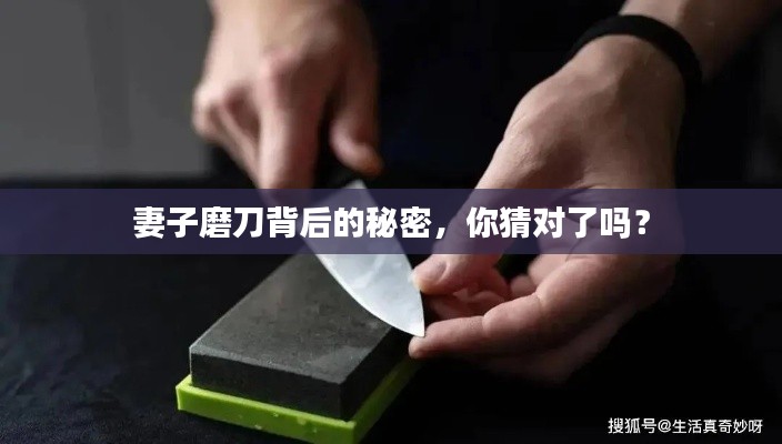 妻子磨刀背后的秘密,你猜对了吗?