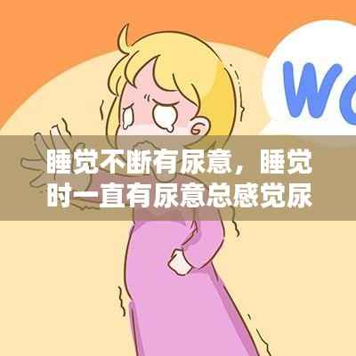 睡觉不断有尿意,睡觉时一直有尿意总感觉尿不干净