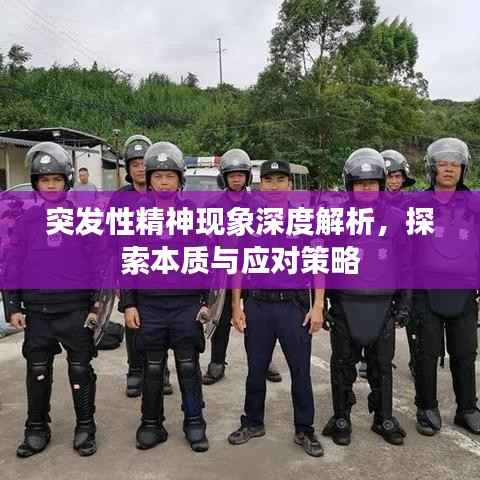 突发性精神现象深度解析,探索本质与应对策略