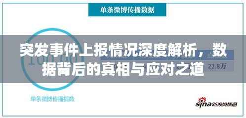 突发事件上报情况深度解析,数据背后的真相与应对之道