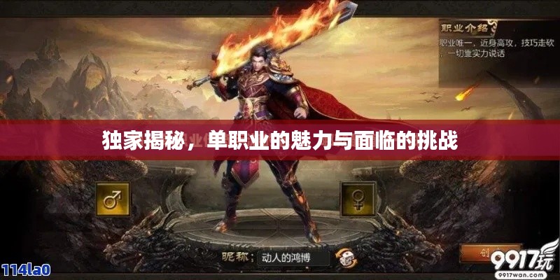独家揭秘，单职业的魅力与面临的挑战
