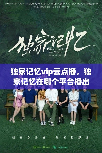 独家记忆vip云点播,独家记忆在哪个平台播出