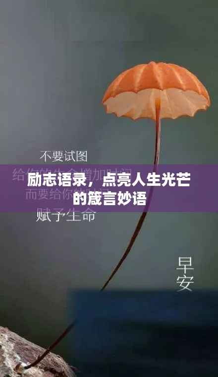 励志语录,点亮人生光芒的箴言妙语