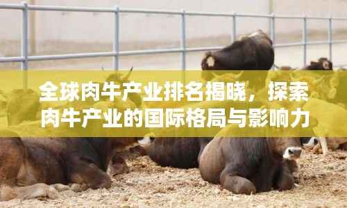 全球肉牛产业排名揭晓，探索肉牛产业的国际格局与影响力视频