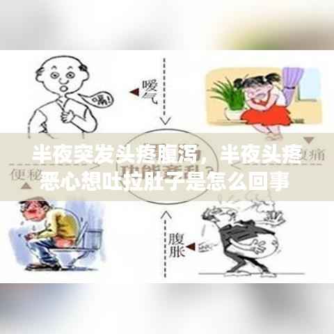 半夜突发头疼腹泻,半夜头疼恶心想吐拉肚子是怎么回事