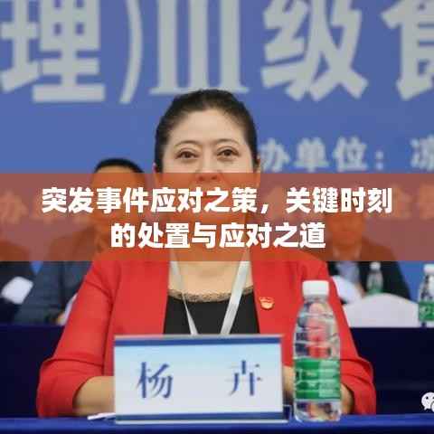突发事件应对之策,关键时刻的处置与应对之道