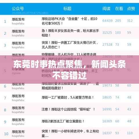 东莞时事热点聚焦,新闻头条不容错过