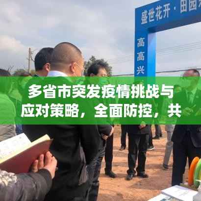 多省市突发疫情挑战与应对策略,全面防控,共克时艰