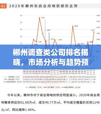 郴州调查类公司排名揭晓,市场分析与趋势预测