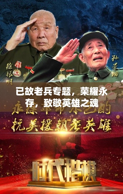 已故老兵专题,荣耀永存,致敬英雄之魂