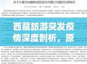 西藏旅游突发疫情深度剖析,原因探究与启示