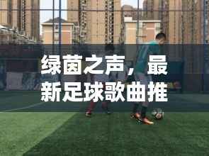 shengruhongzhong 第9页