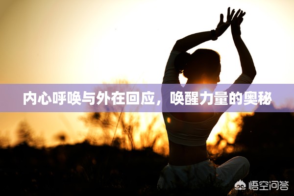 内心呼唤与外在回应,唤醒力量的奥秘