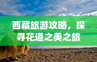 西藏旅游攻略，探寻花道之美之旅