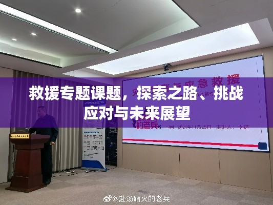 救援专题课题，探索之路、挑战应对与未来展望