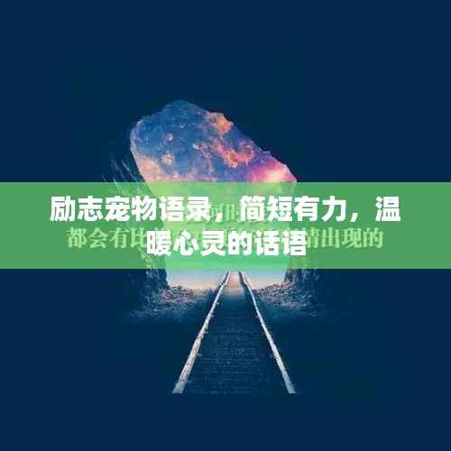 励志宠物语录，简短有力，温暖心灵的话语