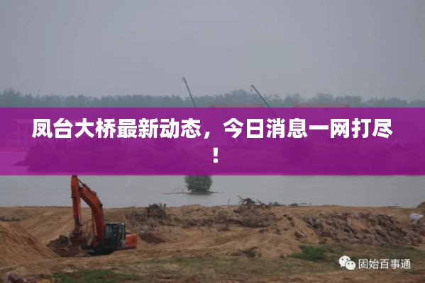 凤台大桥最新动态，今日消息一网打尽！