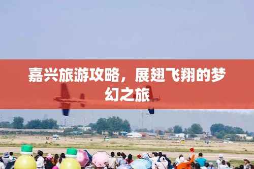 嘉兴旅游攻略,展翅飞翔的梦幻之旅