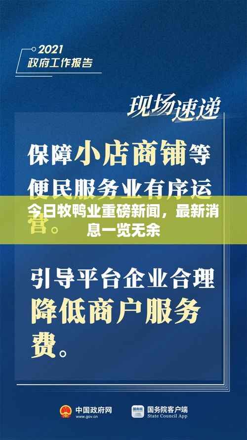 今日牧鸭业重磅新闻,最新消息一览无余