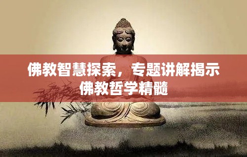 佛教智慧探索,专题讲解揭示佛教哲学精髓