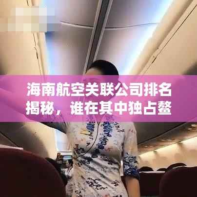 海南航空关联公司排名揭秘，谁在其中独占鳌头？