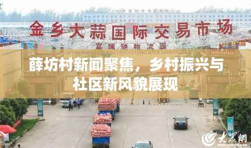 薛坊村新闻聚焦，乡村振兴与社区新风貌展现