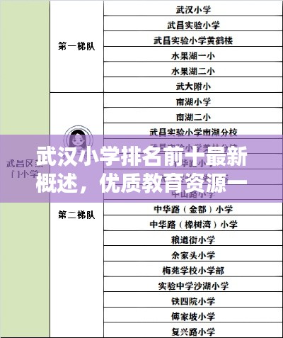 武汉小学排名前十最新概述,优质教育资源一网打尽!