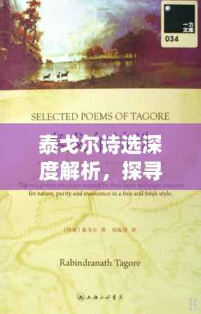 泰戈尔诗选深度解析,探寻专题中的文学魅力