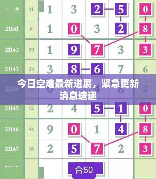 今日空难最新进展，紧急更新消息速递