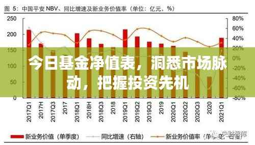 今日基金净值表,洞悉市场脉动,把握投资先机