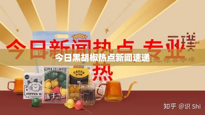 今日黑胡椒热点新闻速递