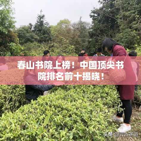 春山书院上榜！中国顶尖书院排名前十揭晓！
