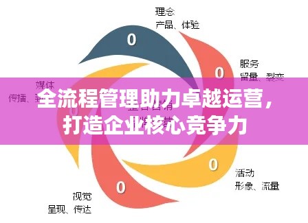 全流程管理助力卓越运营,打造企业核心竞争力