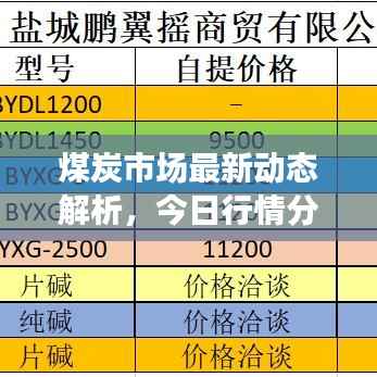 煤炭市场最新动态解析,今日行情分析与报道