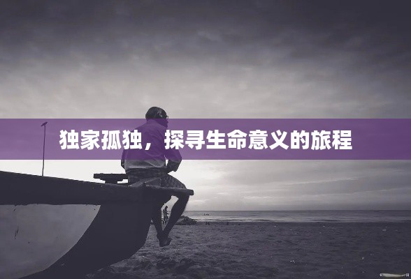 独家孤独,探寻生命意义的旅程